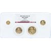 Image 1 : 2006 NGC MS70 First Strike American Eagle Gold Coin Set