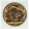 Image 3 : 1938-D BUFFALO NICKEL NGC MS-66 OLD FAT HOLDER
