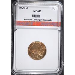 1929-D BUFFALO NICKEL AGP SUPERB GEM