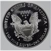 Image 3 : 1996-P AMERICAN SILVER EAGLE PCI GRADED PERFECT PROOF DCAM