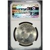 Image 4 : 1923 PEACE SILVER DOLLAR, NGC MS-66  TOUGH!