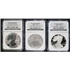 Image 1 : 2006 P/W 20th ANNIVERSARY EAGLE SET (3 Pcs) NGC MS69, PF69, PF69 ULTRA CAMEO