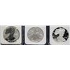 Image 2 : 2006 P/W 20th ANNIVERSARY EAGLE SET (3 Pcs) NGC MS69, PF69, PF69 ULTRA CAMEO