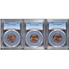 Image 1 : ( 3 ) 1955-D LINCOLN CENTS, PCGS MS-66 RED