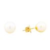 Image 2 : 14KT Yellow Gold White Pearl Stud Earrings
