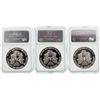 Image 5 : Set of (10) 1990-1999 $1 Silver Eagle Coins NGC Graded MS69