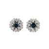 Image 1 : 18KT White Gold 1.04ctw Blue Diamond and Diamond Earrings
