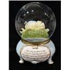 Image 1 : New Musical Snowglobe