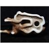 Image 2 : Beswick Foal Laying Down