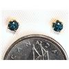 Image 2 : #9-10K YELLOW GOLD BLUE DIAMOND EARRINGS W/ COA