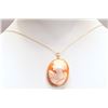 Image 1 : #17-14K YELLOW GOLD SHELL CAMEO NECKLACE W/ COA