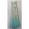 Image 1 : AQUA EMBROIDERED & OPAQUE LACE GOWN