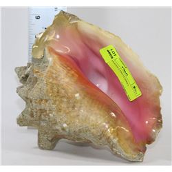 DECORATIVE CONCH SHELL