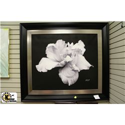 LARGE FRAMED ALICIA SOANE 625/950 LTD ED SIGNED