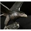 Image 3 : G. Roberts, "The Great American Eagle"