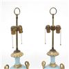 Image 3 : Pair of Decorated Swan-Form Lamps