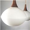 Image 2 : Danish Modern Hanging Light Fixture
