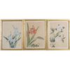 Image 3 : Five Floral Prints