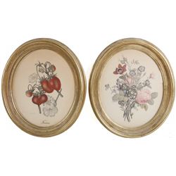 Two Botanical Prints