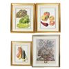 Image 1 : Four Artworks, Vegetables and Flowers