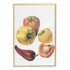 Image 2 : Four Artworks, Vegetables and Flowers