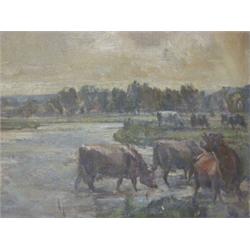 EARLY 20TH CENTURY IMPRESSIONIST SCHOOL, study of cows watering in a meadow, oils on canvas, unsi...