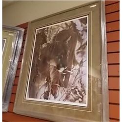 FRAMED LIMITED EDITION PRINT - ICY WHISKERS - LESLEY HARRISON - GALLERY ESTIMATE ~$625