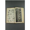 Image 6 : Chinese Three Litho Print Books