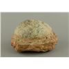 Image 1 : Old Dinosaur Egg Fossil Coprolite