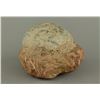 Image 2 : Old Dinosaur Egg Fossil Coprolite