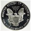 Image 3 : 1991-S AMERICAN SILVER EAGLE PCI GRADED PERFECT PROOF DCAM