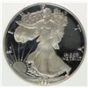 Image 6 : 1991-S AMERICAN SILVER EAGLE PCI GRADED PERFECT PROOF DCAM