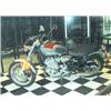 Image 1 : 2000 TRIUMPH
