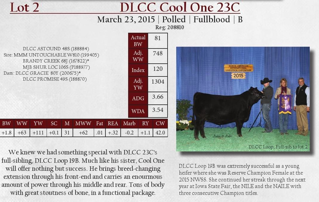 Dlcc Ranch DLCC Ranch Bulls