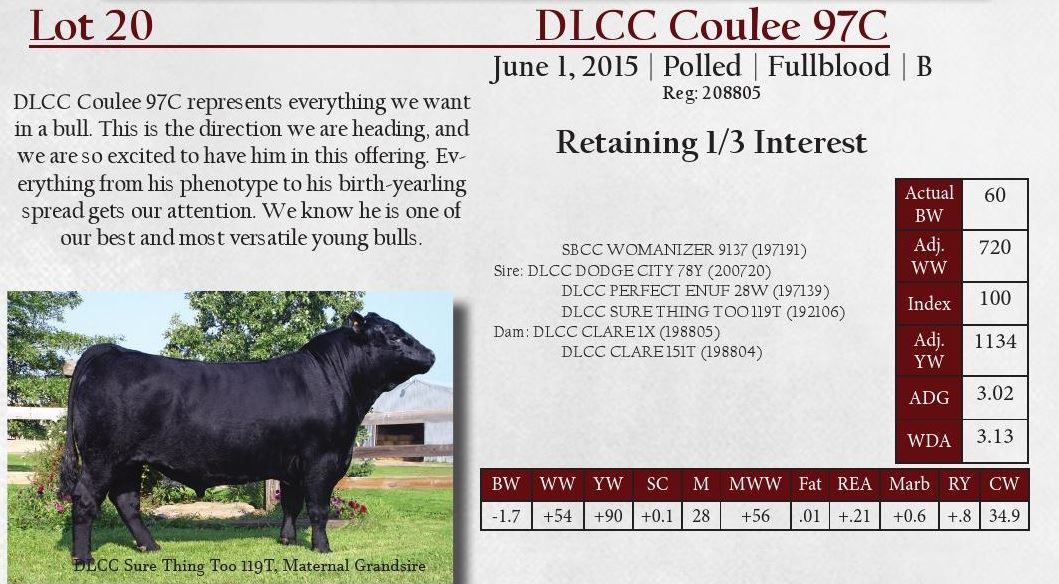 Dlcc Ranch DLCC Ranch Bulls