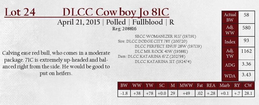 DLCC Ranch Bulls