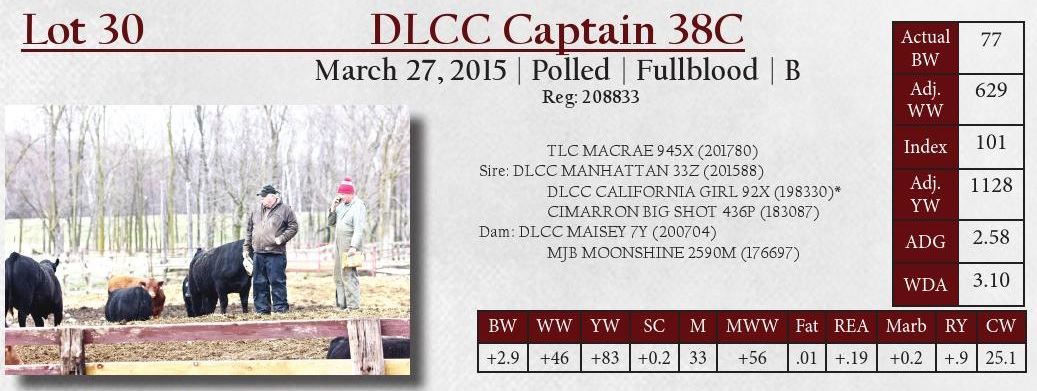 DLCC Ranch Bulls
