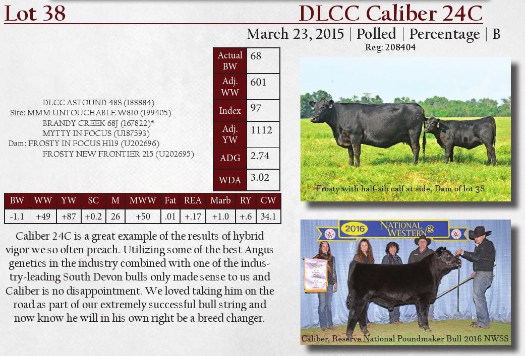 Dlcc Ranch DLCC Ranch Bulls