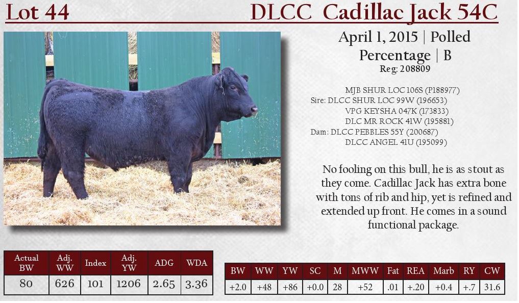 Dlcc Ranch DLCC Ranch Bulls