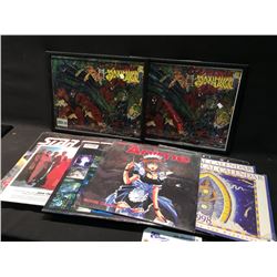 PAIR OF SPIDER-MAN LITHOGRAPH POSTERS ON FOIL AND A COLLECTION OF 33 1/3 RECORD ALBUMS