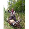 Image 2 : Bob Northrup - Cow Elk or Mgmt. Whitetail