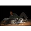 Image 1 : Botes Hunting Safaris - sm. game night adventure hunt