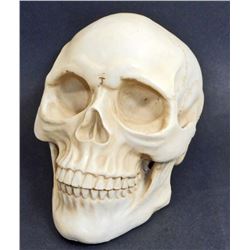 HUMAN SKULL - REPLICA