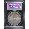 Image 4 : 2006-W ( BURNISHED ) AMERICAN SILVER EAGLE, PCGS MS-69