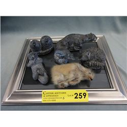 Small hide muskox & 5 sculptures