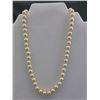 Image 1 : New - South Sea Shell Pearl Necklace