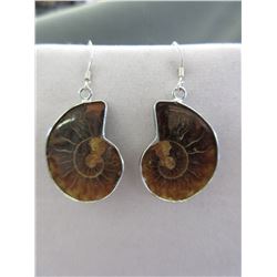New - Ammonite Drop Earrings