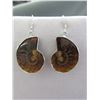 Image 1 : New - Ammonite Drop Earrings