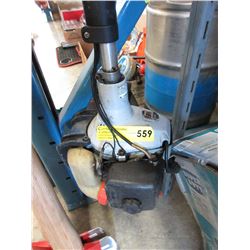 Gas powered edger