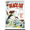 Image 3 : Black Cat Group (Harvey, 1947). Hollywood's glamorous detective star was always a fun character w...